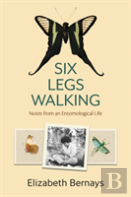 Six Legs Walking