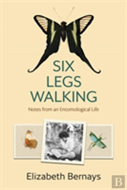 Bertrand.pt - Six Legs Walking