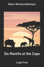 Six Months At The Cape