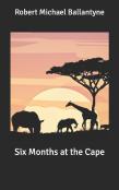 Six Months At The Cape