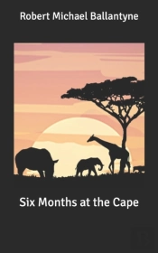 Six Months At The Cape