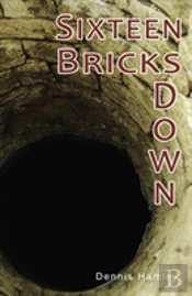 Sixteen Bricks Down