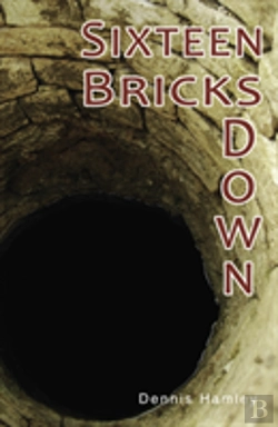 Bertrand.pt - Sixteen Bricks Down