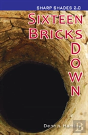 Sixteen Bricks Down  (Sharp Shades)