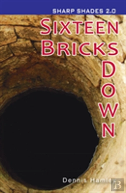 Bertrand.pt - Sixteen Bricks Down  (Sharp Shades)