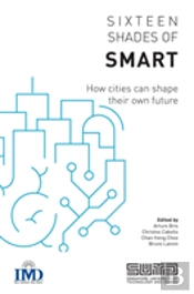 Sixteen Shades Of Smart