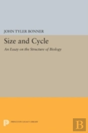 Size And Cycle