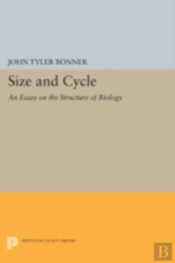 Bertrand.pt - Size And Cycle
