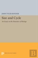 Size And Cycle