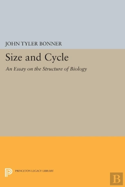Bertrand.pt - Size And Cycle