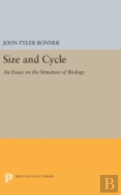Size And Cycle