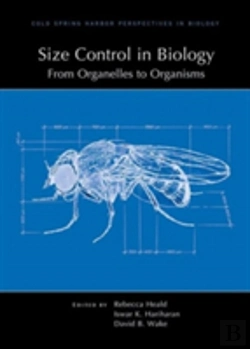Bertrand.pt - Size Control In Biology: From Organelles To Organisms