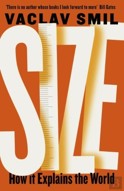 Bertrand.pt - Size
