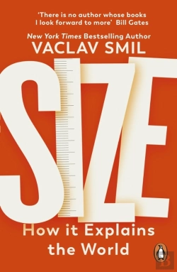 Bertrand.pt - Size