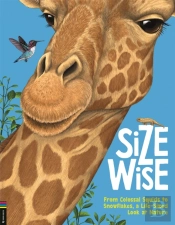 Size Wise