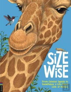 Bertrand.pt - Size Wise