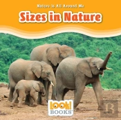 Sizes In Nature