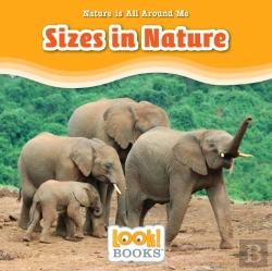 Bertrand.pt - Sizes In Nature