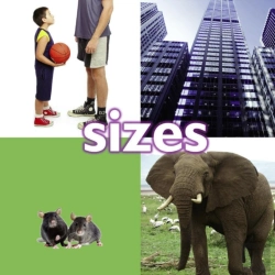 Bertrand.pt - Sizes