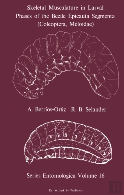 Bertrand.pt - Skeletal Musculature In Larval Phases Of The Beetle Epicauta Segmenta (Coleoptera, Meloidae)