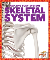 Skeletal System
