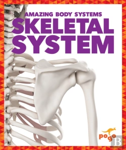 Bertrand.pt - Skeletal System