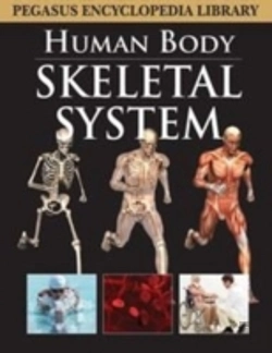 Bertrand.pt - Skeletal System