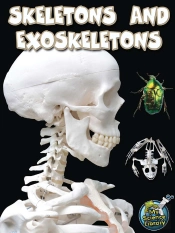 Skeletons And Exoskeletons