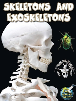 Bertrand.pt - Skeletons And Exoskeletons