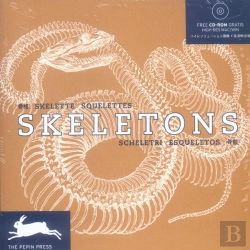 Bertrand.pt - Skeletons