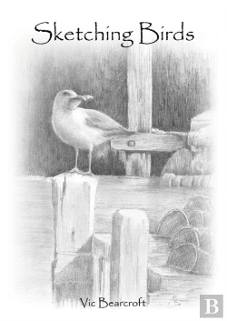 Bertrand.pt - Sketching Birds