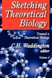 Sketching Theoretical Biology