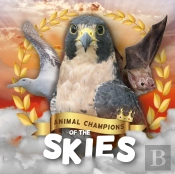 Skies