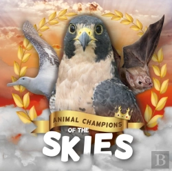Bertrand.pt - Skies