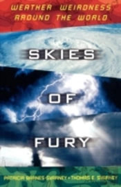 Skies Of Fury