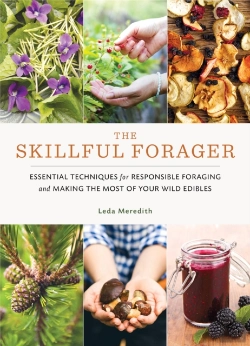 Bertrand.pt - Skillful Forager