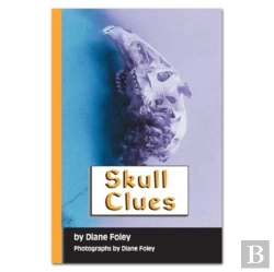 Bertrand.pt - Skull Clues