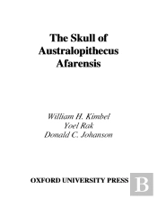 Skull Of Australopithecus Afarensis