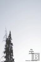 Sky Bright Psalms