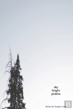 Bertrand.pt - Sky Bright Psalms