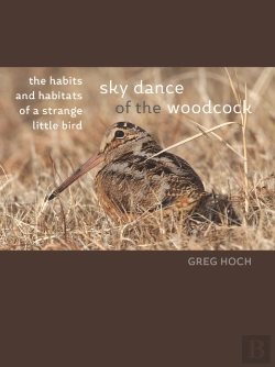 Bertrand.pt - Sky Dance Of The Woodcock
