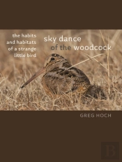 Sky Dance Of The Woodcock