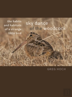 Bertrand.pt - Sky Dance Of The Woodcock
