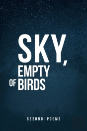Sky, Empty Of Birds