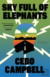 Sky Full Of Elephants