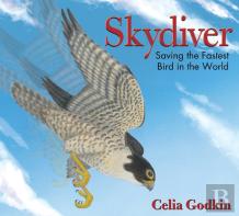 Skydiver