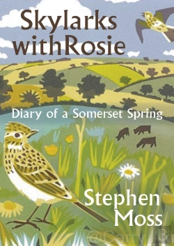 Bertrand.pt - Skylarks With Rosie