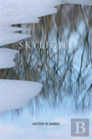 Skylight