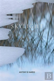 Skylight
