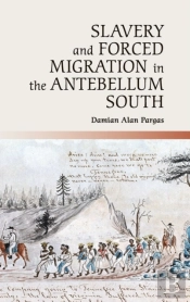 Slavery And Forced Migration In The Antebellum South